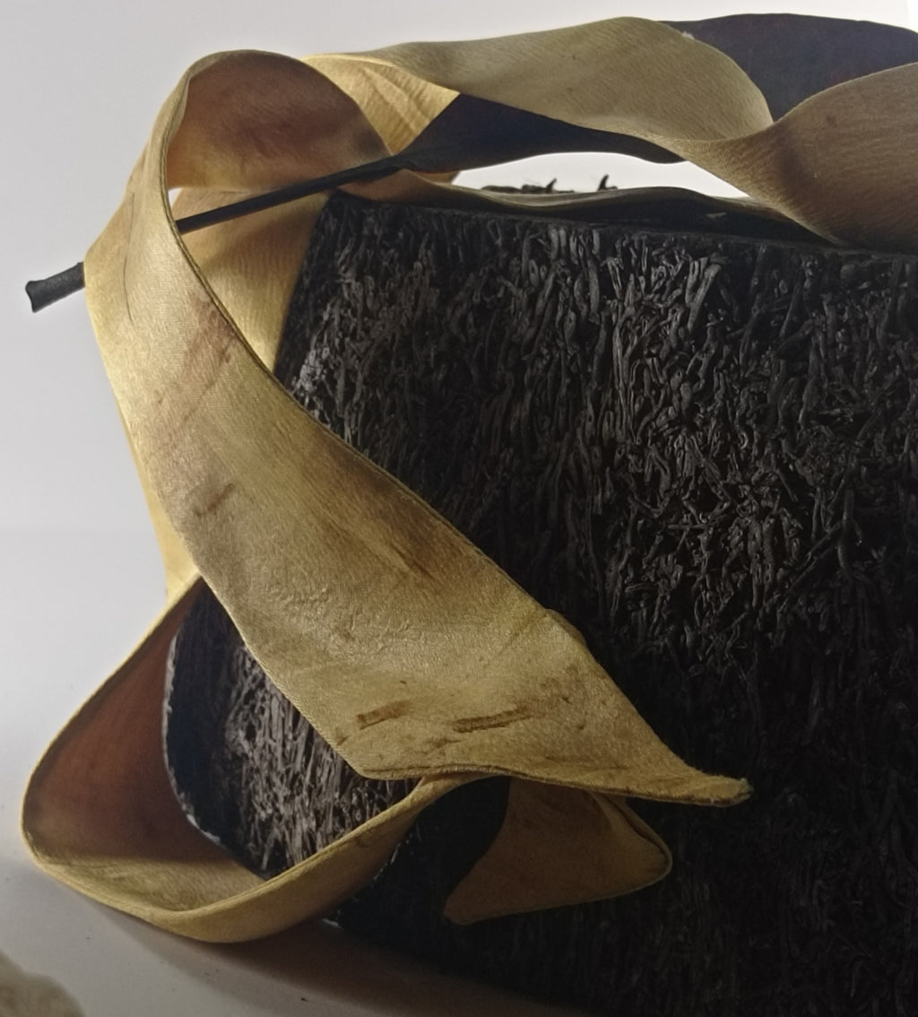 Twilly Vegetal Skin × Golden Mango — Trace II