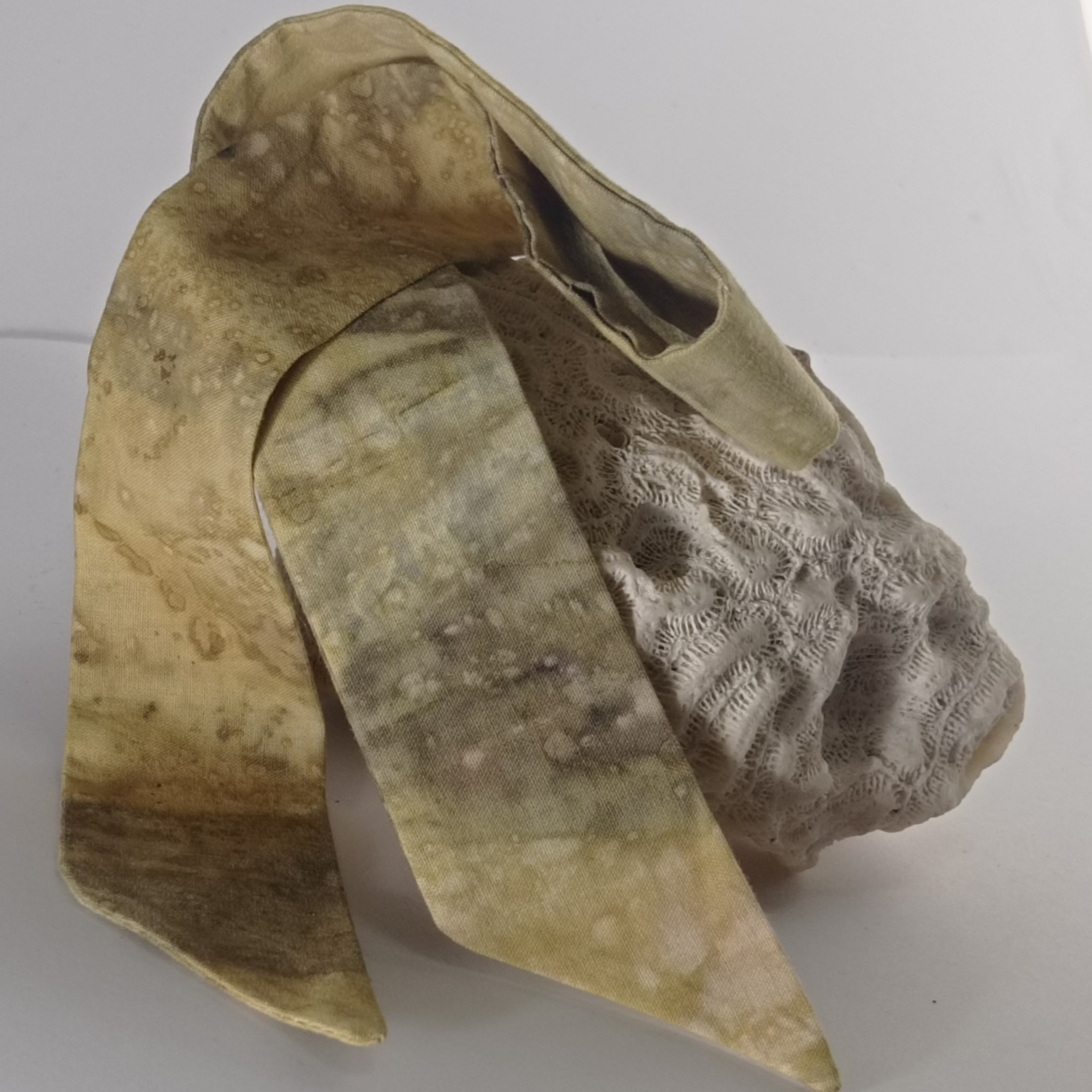 Petit Twilly Vegetal Skin × Golden Mango - TRACE X