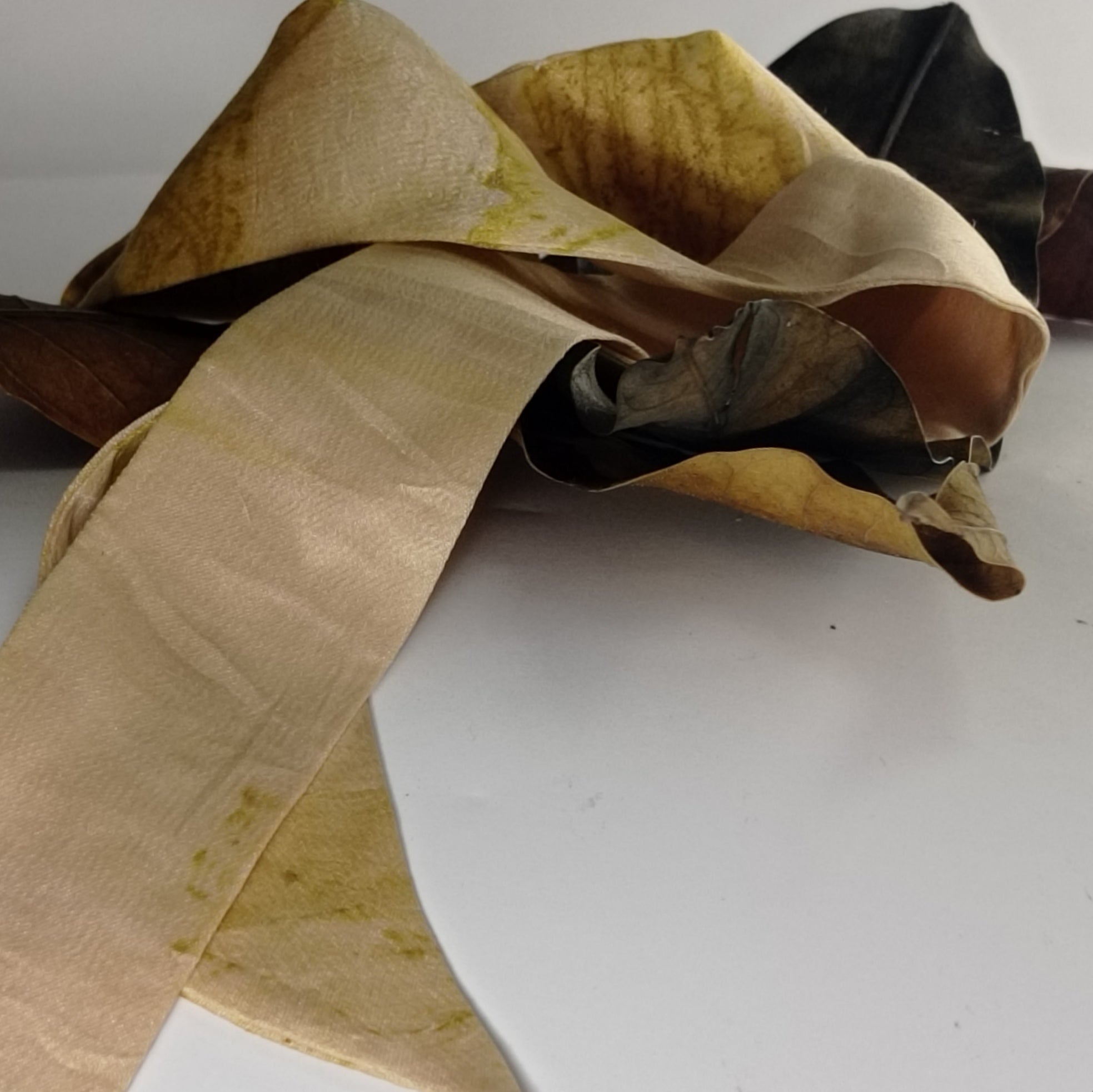 Twilly Vegetal Skin × Golden Mango — Trace III