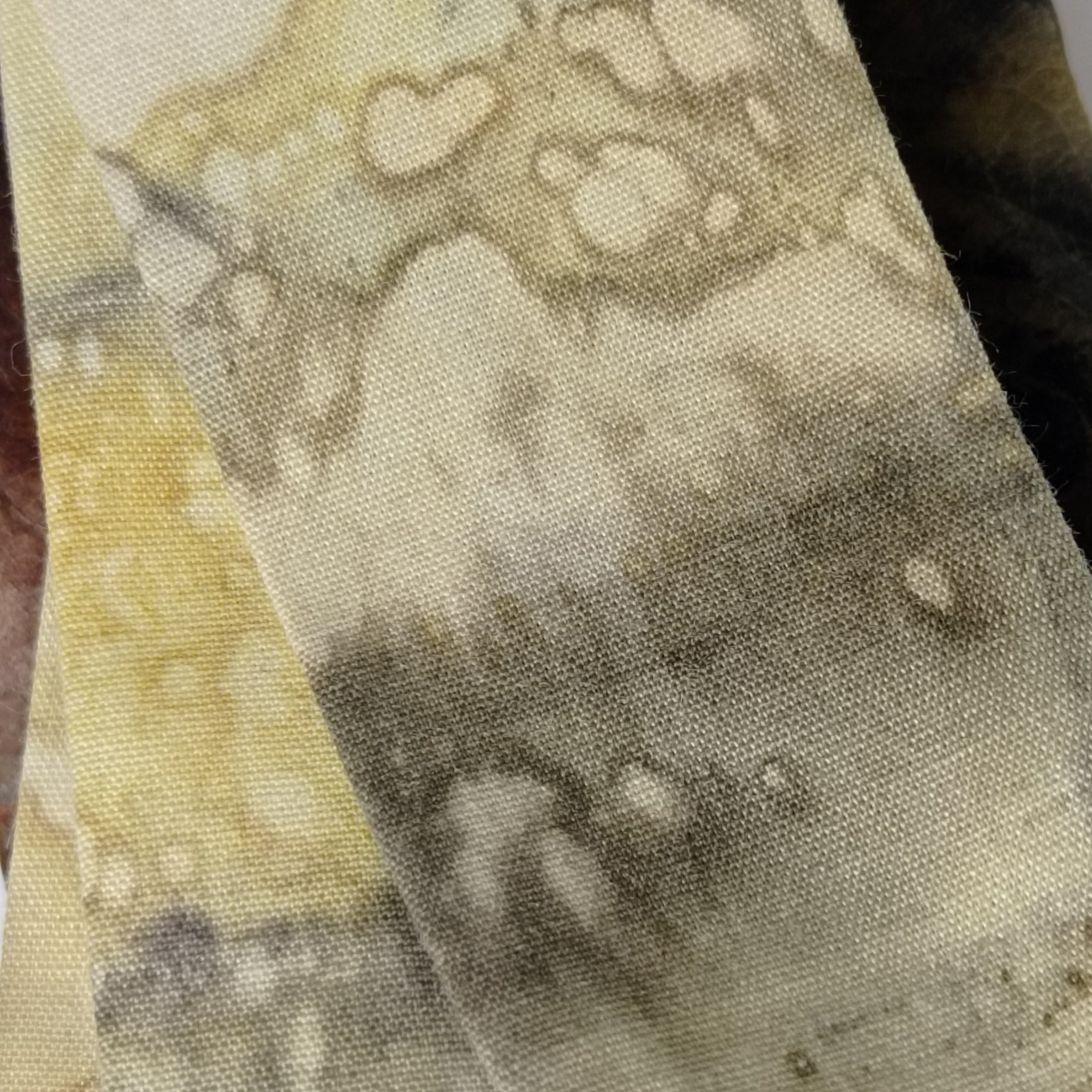 Petit Twilly Vegetal Skin × Golden Mango - TRACE XI