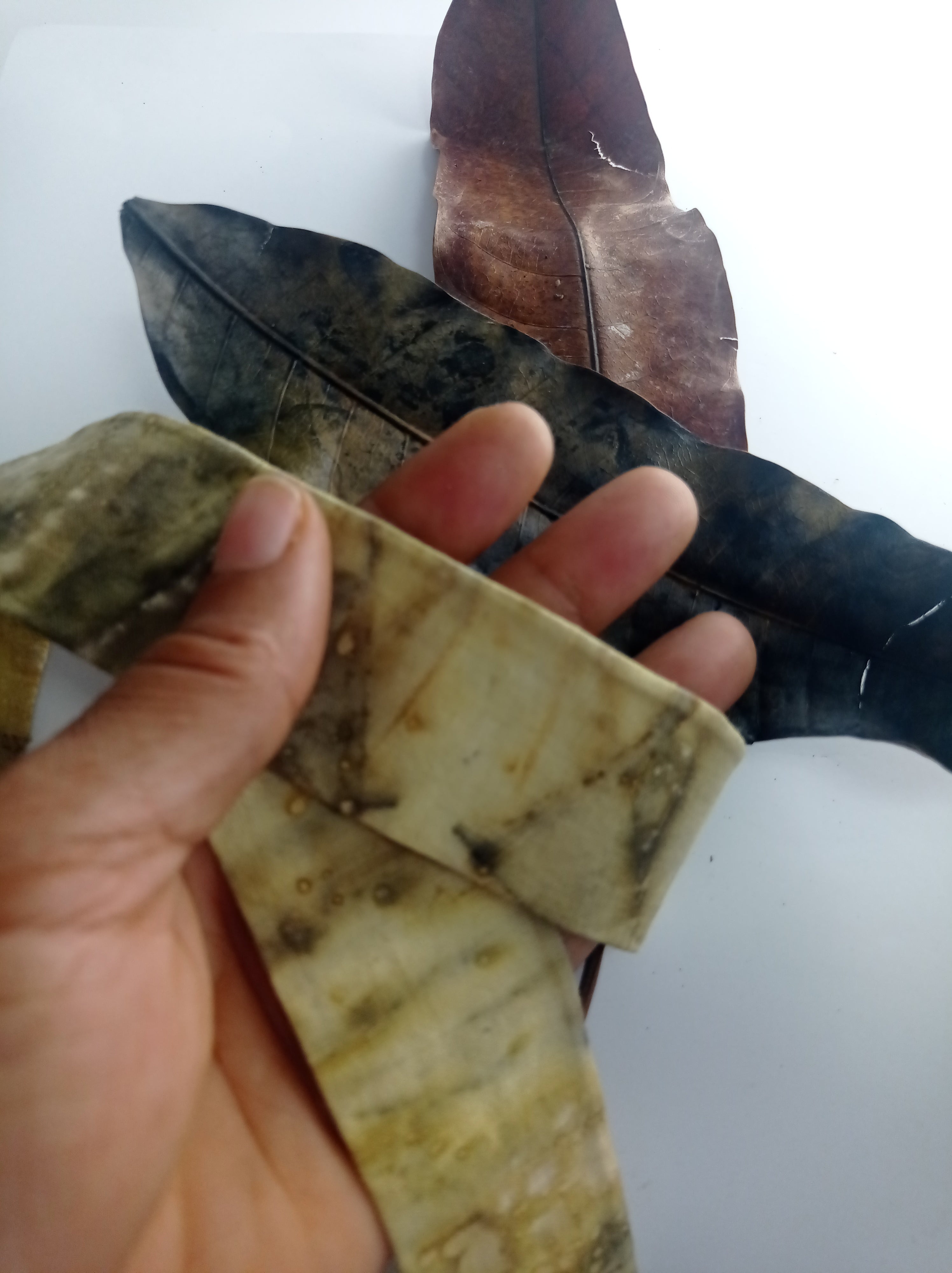 Petit Twilly Vegetal Skin × Golden Mango - TRACE IX