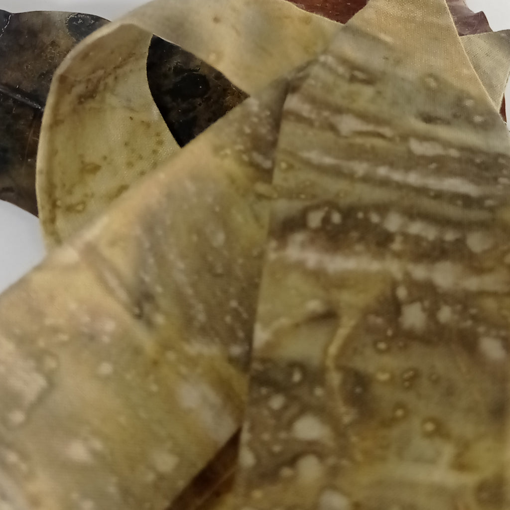 Petit Twilly Vegetal Skin × Golden Mango - TRACE IX