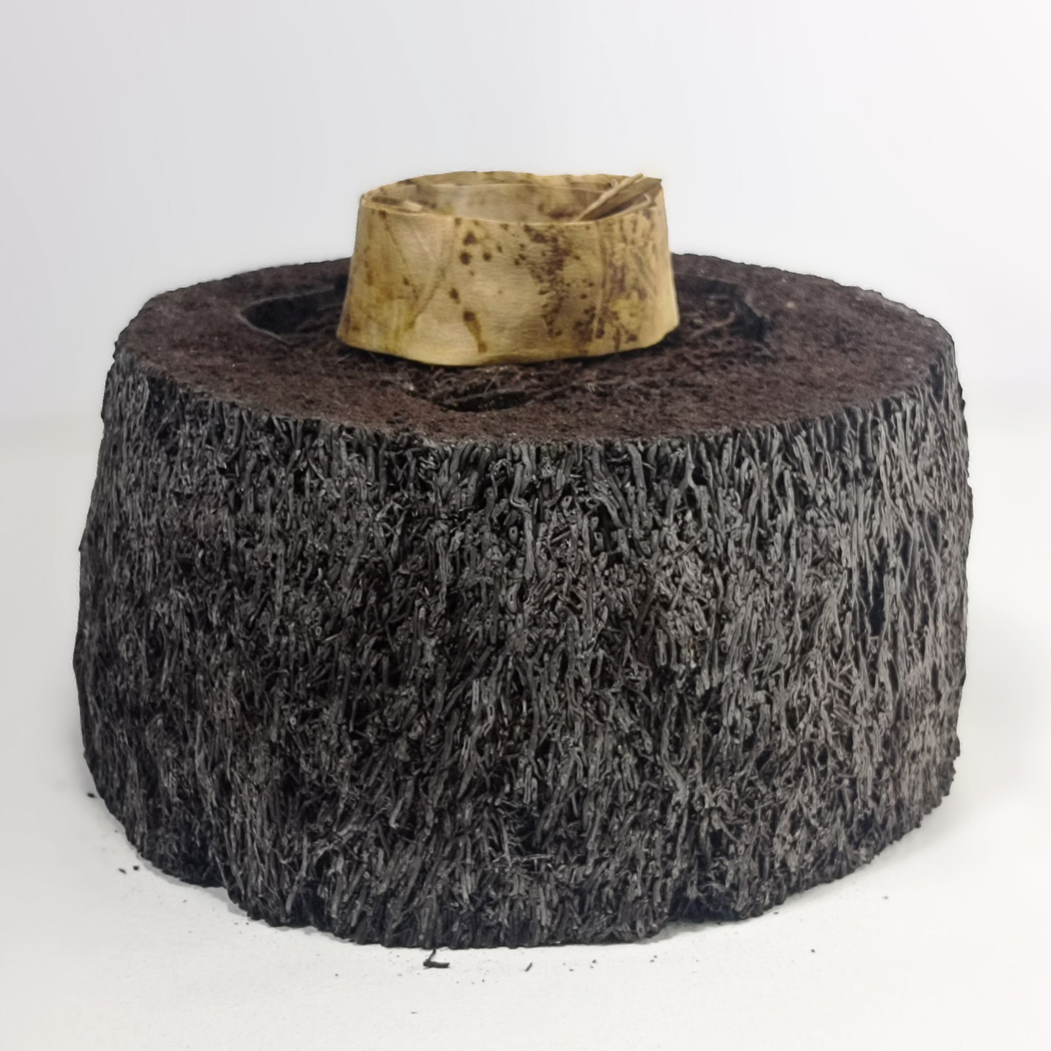 Twilly Vegetal Skin × Golden Mango — Trace IV