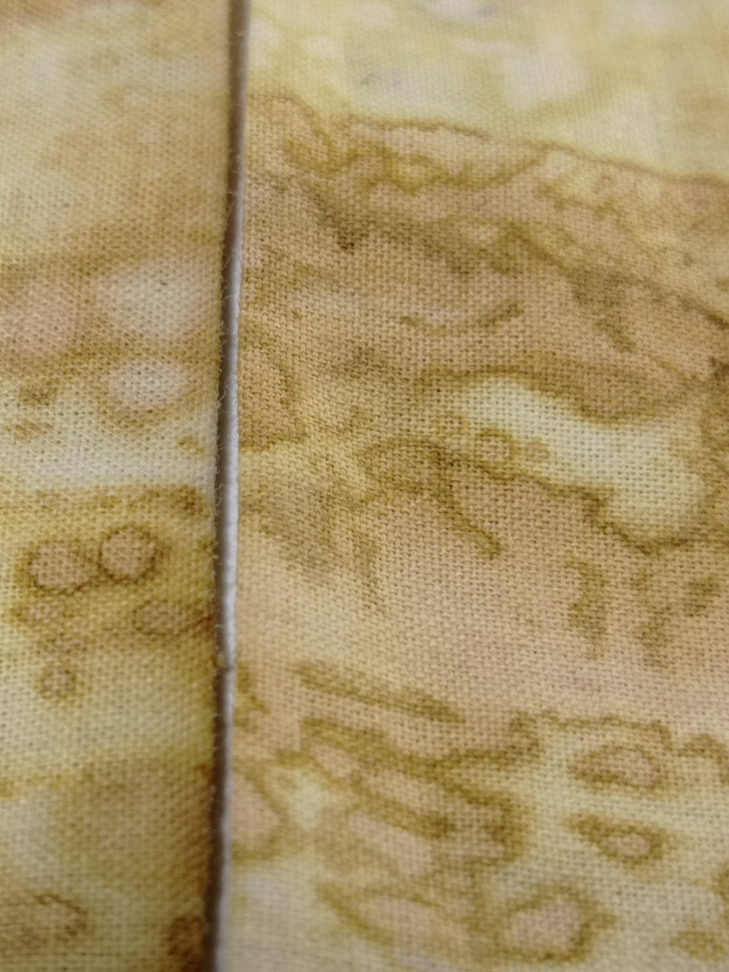 Petit Twilly Vegetal Skin × Golden Mango - TRACE VIII