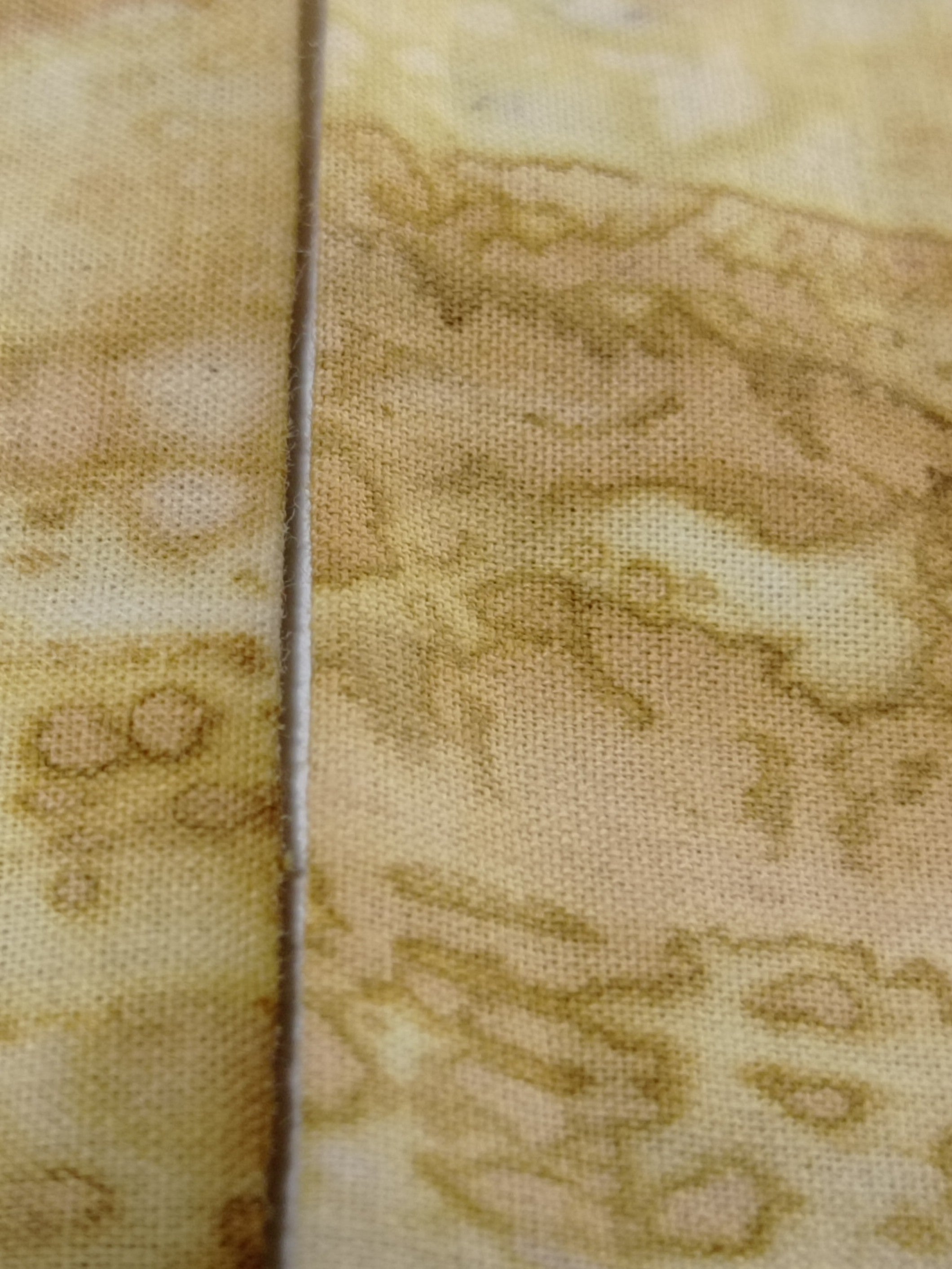 Petit Twilly Vegetal Skin × Golden Mango - TRACE VIII