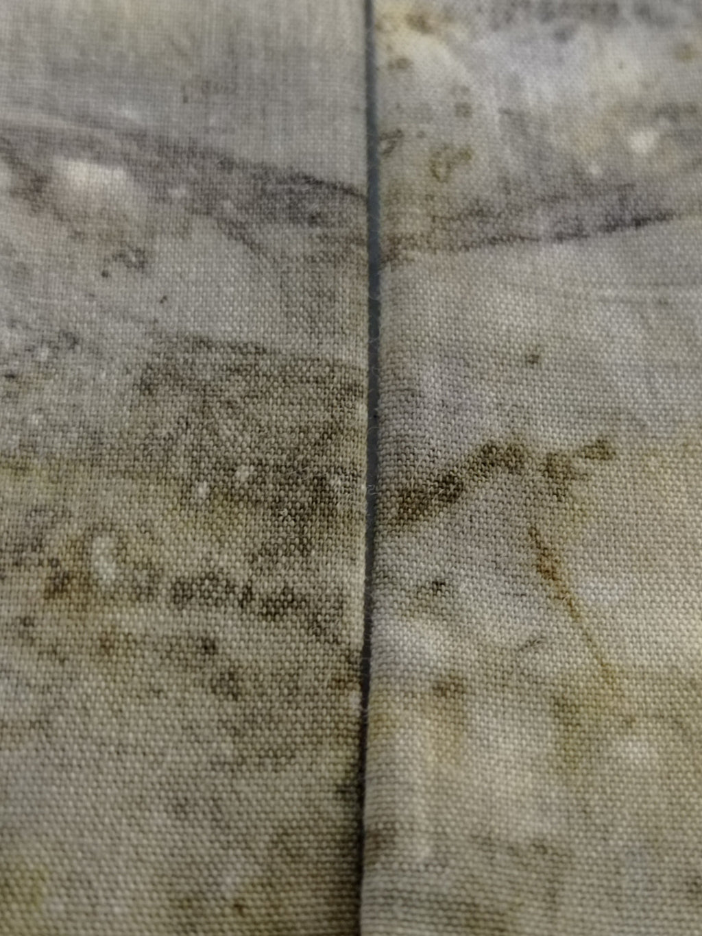 Petit Twilly Vegetal Skin × Golden Mango - TRACE XIII